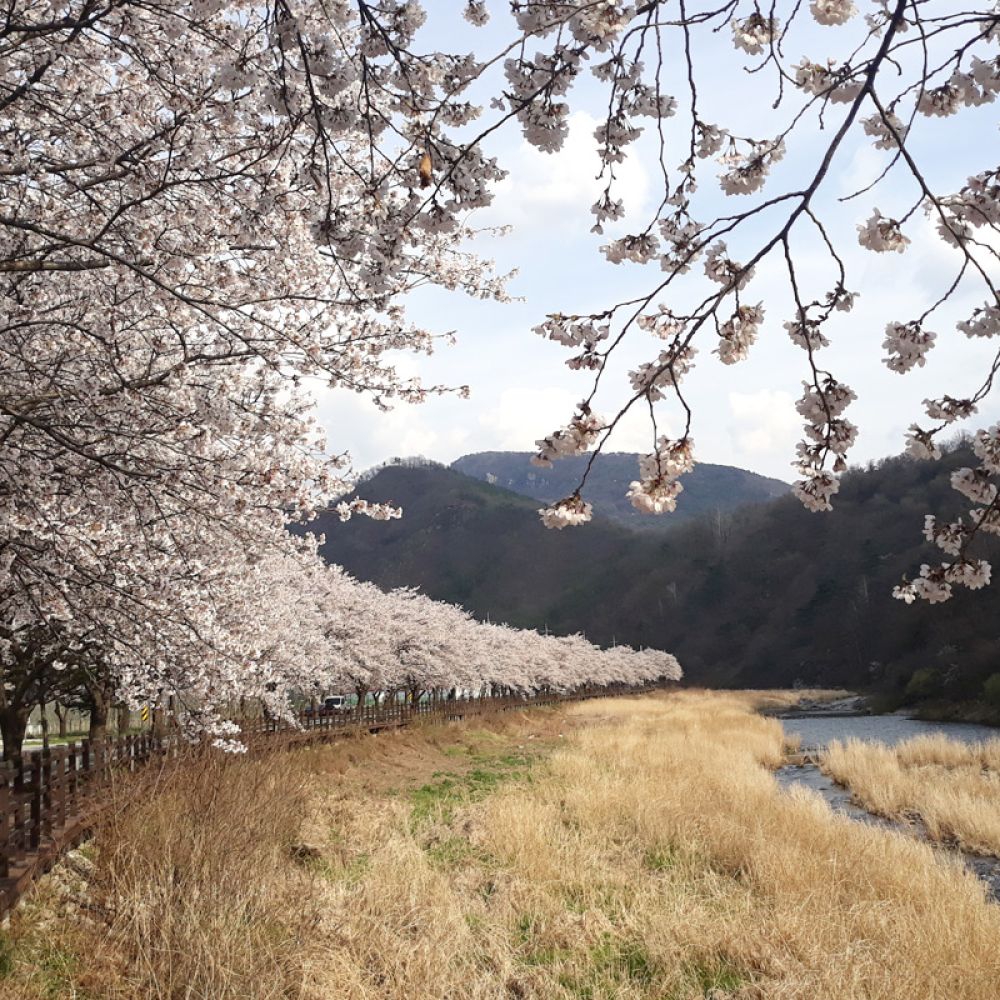 주변전경